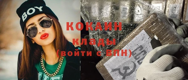 дмт Алексин