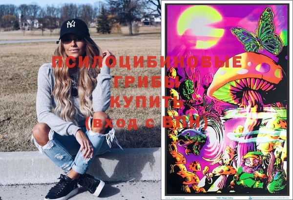 дмт Алексин