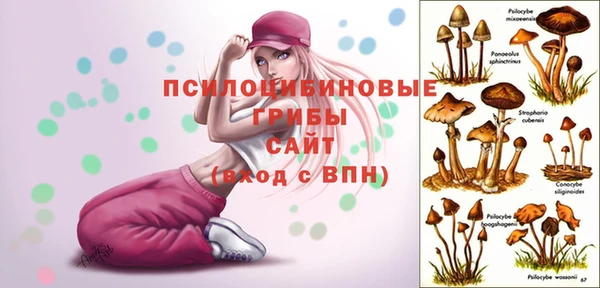 кристаллы Алексеевка