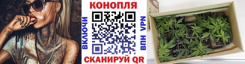 Марихуана семена  МЕГА как войти  Белоярский  где можно купить наркотик 